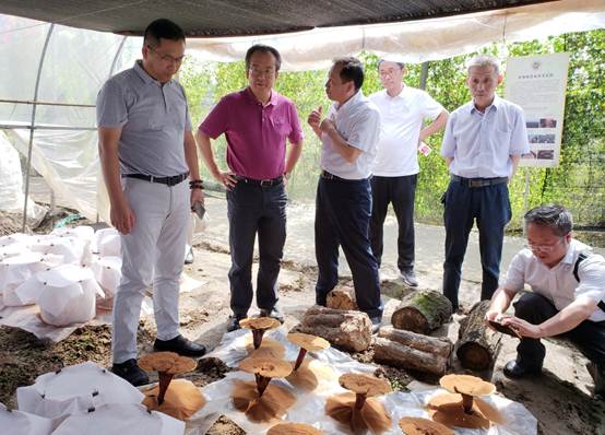 說明: 說明: C:\Users\Administrator\Desktop\006.jpg